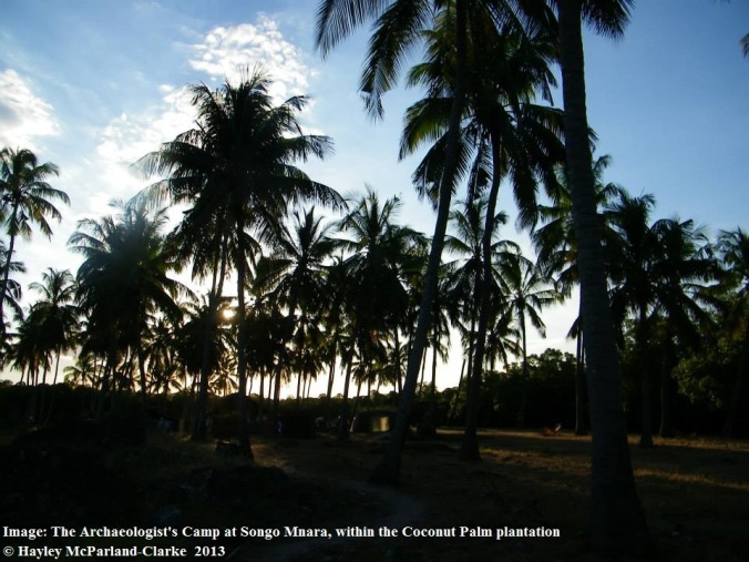 Songo Mnara Palm Plantation